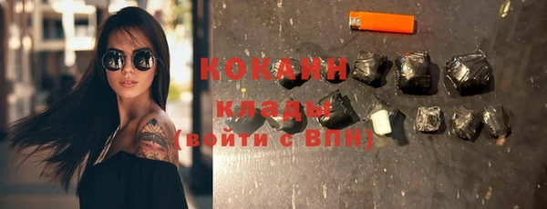 дживик Надым