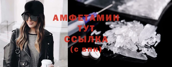 дживик Надым