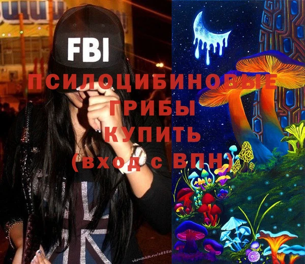 дживик Надым