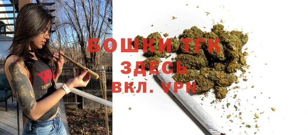 дживик Надым